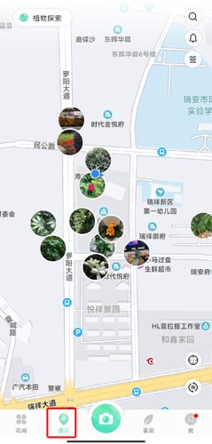 形色苹果版图片2